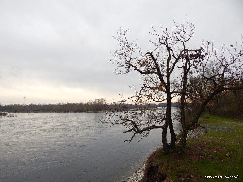 Parco del Ticino 23/11/13